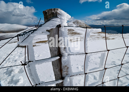 Zaun Wind verwehten eisbedeckt auf Skiddaw, Lake District Fjälls Stockfoto