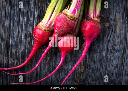 Bio Mini rote Süßigkeit Streifen rohen Rüben Stockfoto