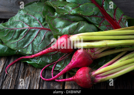 Bio Mini rote Süßigkeit Streifen rohen Rüben mit Roter Mangold Stockfoto