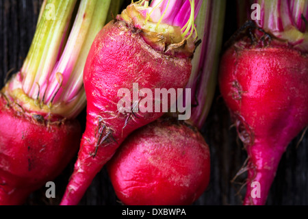 Bio Mini rote Süßigkeit Streifen rohen Rüben Stockfoto