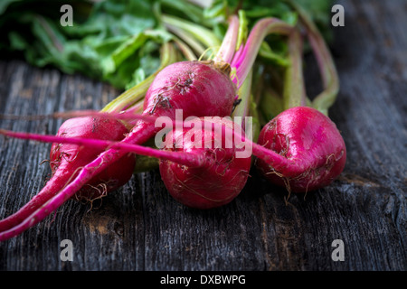 Bio Mini rote Süßigkeit Streifen rohen Rüben Stockfoto