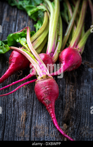 Bio Mini rote Süßigkeit Streifen rohen Rüben Stockfoto