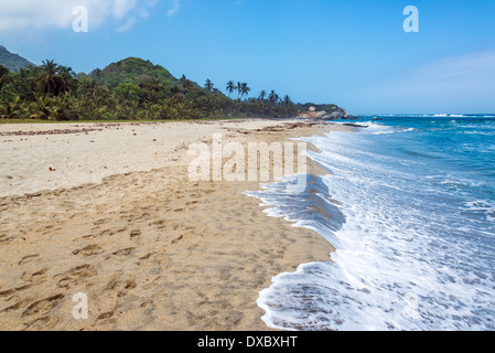 Strand im Tayrona National Park in Kolumbien mit Dichter Vegetation im Hintergrund Stockfoto