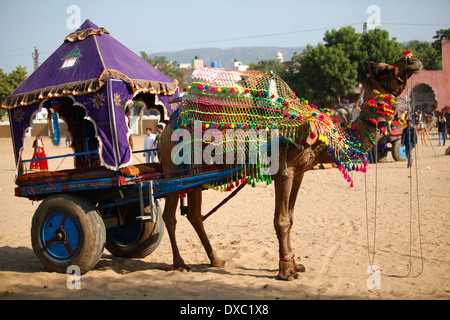 Verziert kamel Trainer in der anlässlich der "Pushkar Camel Fair". Rajasthan, Indien. Stockfoto