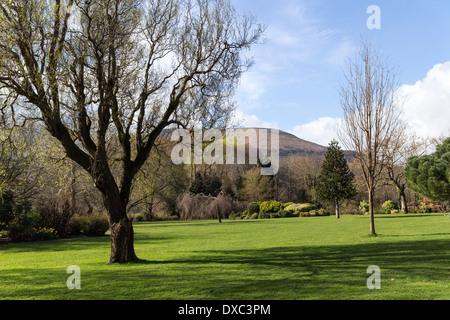Trees in spring with Blorenge mountain in the distance, Linda Vista Gardens, Abergavenny, Wales, UK Stockfoto