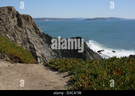 Ein Blick von der Cliffside Trail in der Bodega Head im Norden Kaliforniens. Stockfoto