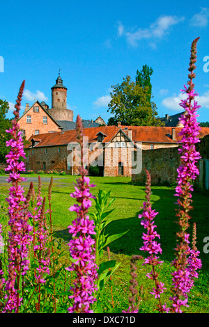 Burg, Budingen Stockfoto