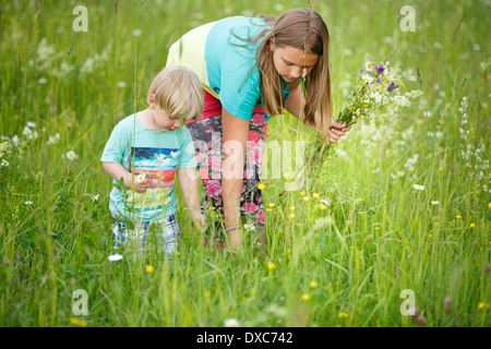 Familie Sommer Blumenpflücken auf Wiese Stockfoto