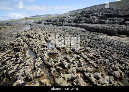 Felsigen Kalkstein Pflaster auf die Küste und die Aussicht des Burren von Fanore, County Clare, Irland Stockfoto