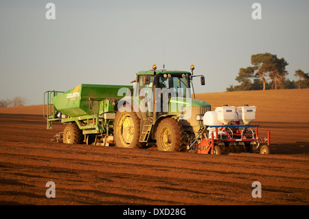 Goliath Potatoe Pflanzer Stockfoto