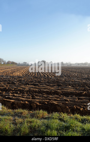 Blick über einen Acker (Gepflügtes) früh an einem Wintermorgen. Eine ideale ländlichen Hintergrund. Stockfoto