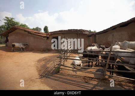 Tribal House. Santhal Stamm. Jarkatand Dorf, Bokaro Bezirk, Jharkhand Stockfoto