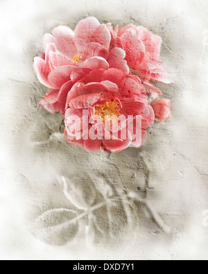 Abstrakte romantische rosa Rosen Blumen Floral selektiver Weichzeichner Aquarell Stil Immitation Hintergrundverarbeitung Stockfoto