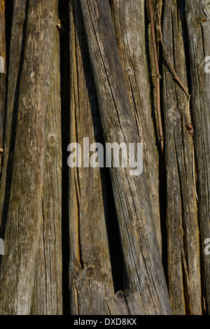 Alte hölzerne Pfähle Makro Nahaufnahme Hintergrund Textur Vollformat-Alte Holzstöcke Rebstöcke Makro Nahaufnahme Formatfüllend Hochformat Stockfoto