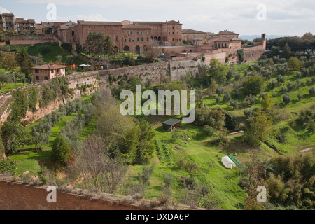 Blick über die Stadtmauern von Siena, Toskana, Italien auf die grünen Hügel der toskanischen Landschaft. Stockfoto