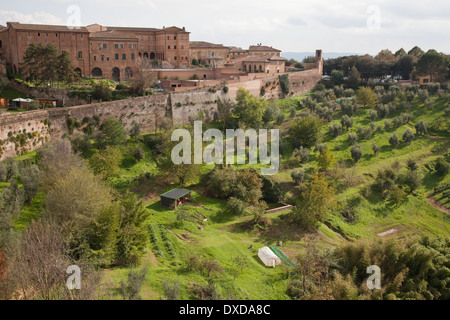 Blick über die Stadtmauern von Siena, Toskana, Italien zu den grünen Hügeln der toskanischen Landschaft. Stockfoto