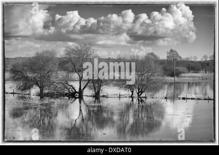 Überschwemmungen, Fluß Avon in der Nähe von Ringwood Stockfoto