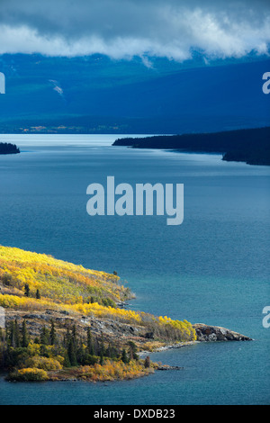 Bove Island, Tagish Lake, Yukon Territorien, Kanada Stockfoto