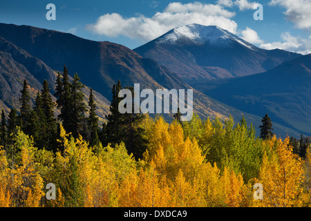 Herbstfarben auf dem South Klondike Highway Nr. Tagish Lake, mit Böschung Berg, Yukon Territorien, Kanada Stockfoto