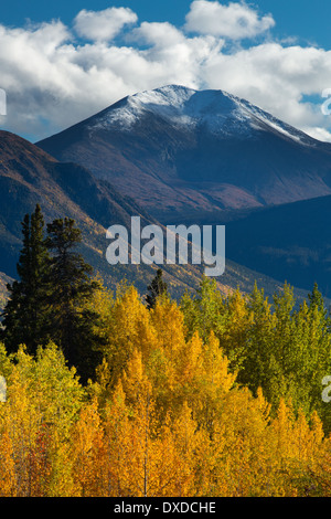 Herbstfarben auf dem South Klondike Highway Nr. Tagish Lake, mit Böschung Berg, Yukon Territorien, Kanada Stockfoto