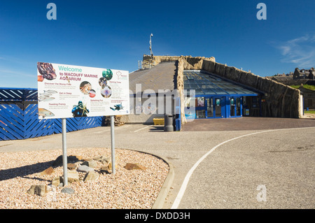 Macduff Marine Aquarium - Besucherattraktion in Stadt Macduff, Aberdeenshire, Schottland, Großbritannien. Stockfoto