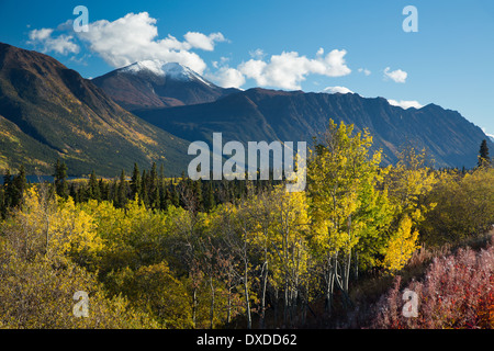 Herbstfarben auf dem South Klondike Highway Nr. Tagish Lake, mit Böschung Berg, Yukon Territorien, Kanada Stockfoto