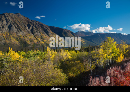 Herbstfarben auf dem South Klondike Highway Nr. Tagish Lake, mit Böschung Berg, Yukon Territorien, Kanada Stockfoto