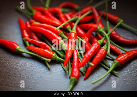 Heiße Thai Red Chili Peppers auf Tisch Stockfoto