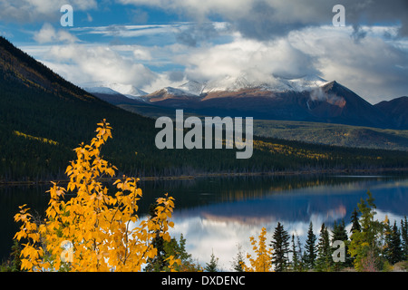 Herbstfärbung bei Nares Lake mit Montana Berg darüber hinaus, in der Nähe von Carcross, Yukon Territorien, Kanada Stockfoto