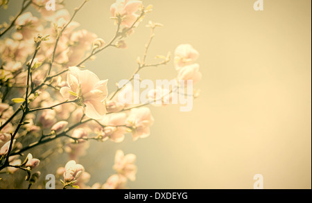 Vintage Blumen. Antike Stil Foto von Blüten mit Grunge alte Papiermuster Stockfoto