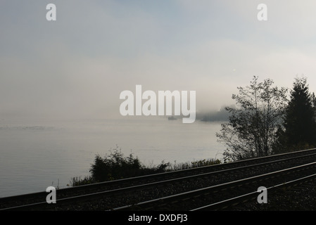 Morgennebel über den Fraser River, Langley, British Columbia Stockfoto