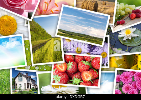 Stapel von gedruckten Bildern Collage - Blumen, Landschaften, Essen Stockfoto