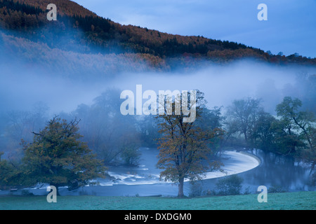 Herbstfärbung und Nebel im Tal Dee (Dyffryn Dyfrdwy) am Horseshoe Falls in der Nähe von Llangollen, Denbighshire, Wales Stockfoto