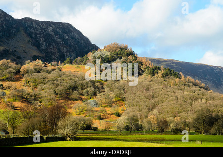 Schloss-Felsen im Sonnenlicht und schattige Hänge von Maiden Moor hinter von in der Nähe von Rosthwaite in Borrowdale im Lake District Stockfoto