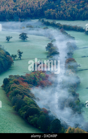 Herbstfärbung und Nebel im Tal Dee (Dyffryn Dyfrdwy) in der Nähe von Llangollen, Denbighshire, Wales Stockfoto