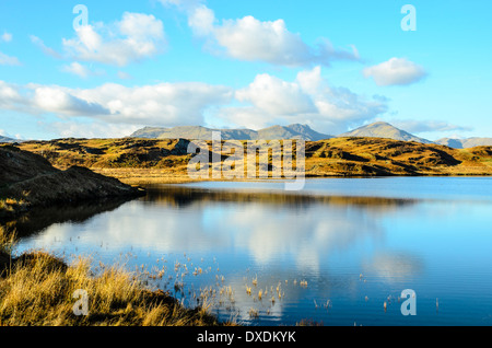 Mit Blick auf Leuchtturm Tarn in der Blawith Fells oben Coniston Water mit Blick auf Dow Crag und Coniston Greis Lake District Stockfoto