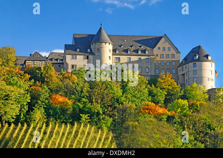 Burg Ebernburg, Bad Münster Stockfoto