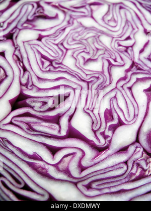 Nahaufnahme des Querschnitts von Rotkohl Stockfoto