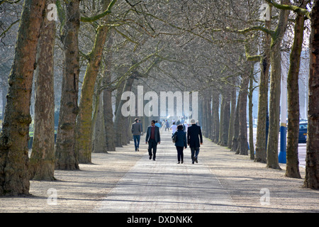 Sonnige Winterwanderung entlang Baum gesäumten breiten Weg zwischen der Mall und St James Park Stockfoto