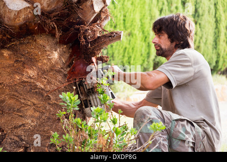 Nahaufnahme des Mannes peeling Palme mit Kettensäge, Mallorca, Spanien Stockfoto