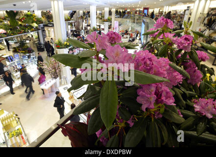 New York, USA. 24. März 2014. Menschen passieren Blumenschmuck im Kaufhaus Macy's in New York City, 24. März 2014. Unter dem Motto "der geheime Garten" für dieses Jahr startete am Sonntag der jährlichen Macys Flower Show in New York City aus. Bildnachweis: Wang Lei/Xinhua/Alamy Live-Nachrichten Stockfoto