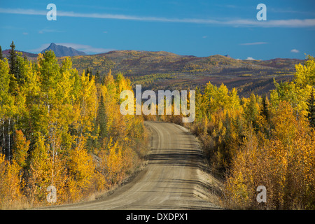 Herbstfärbung Farbsäume der Dempster Highway, Yukon Territorien, Kanada Stockfoto