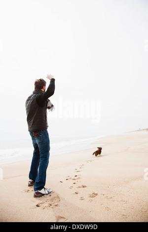 Dackel holen auf Strand Stockfoto