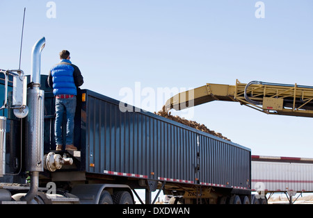 Kartoffel-Ernte, Colorado, USA Stockfoto