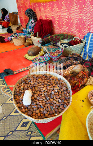 Frauen knacken Argan Muttern an die Genossenschaft Marjana, Ounara, Essaouira, Marokko Stockfoto