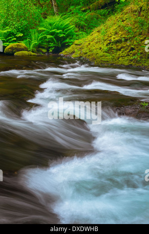 Langzeitbelichtung Tanner Creek, Oregon, USA Stockfoto