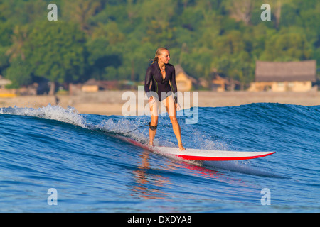 Surfen Sie eine Welle im Indischen Ozean. Insel Lombok. Indonesien. Stockfoto