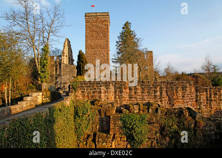 Burgruine Zavelstein, Bad Teinach-Zavelstein, Kreis Calw, Schwarzwald, Baden-Württemberg, Deutschland Stockfoto