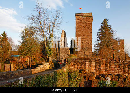 Burgruine Zavelstein, Bad Teinach-Zavelstein, Kreis Calw, Schwarzwald, Baden-Württemberg, Deutschland Stockfoto