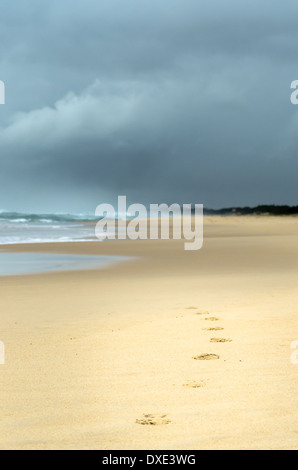 Fußspuren im Sand führen das Auge in einer dunklen bedrohlichen Himmel über den Strand vor. Stockfoto